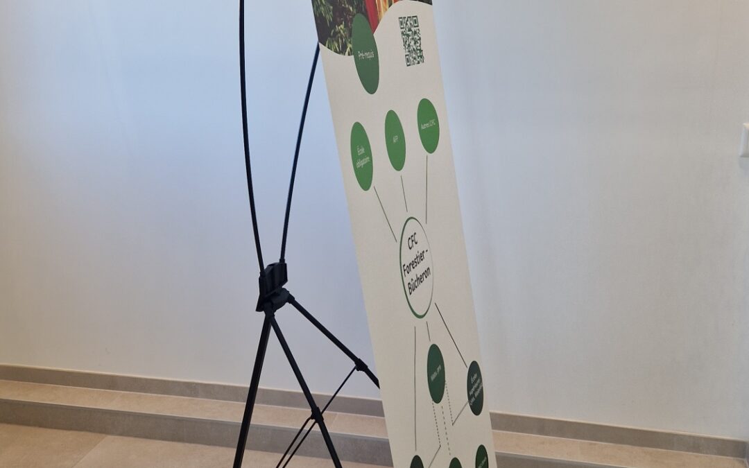 X-Banner 80×180 cm